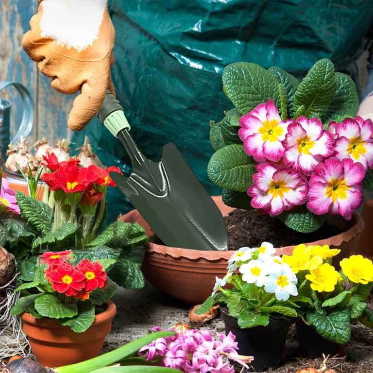 Get Your Garden Summer Ready With Elitegrass™ Atificial Grass