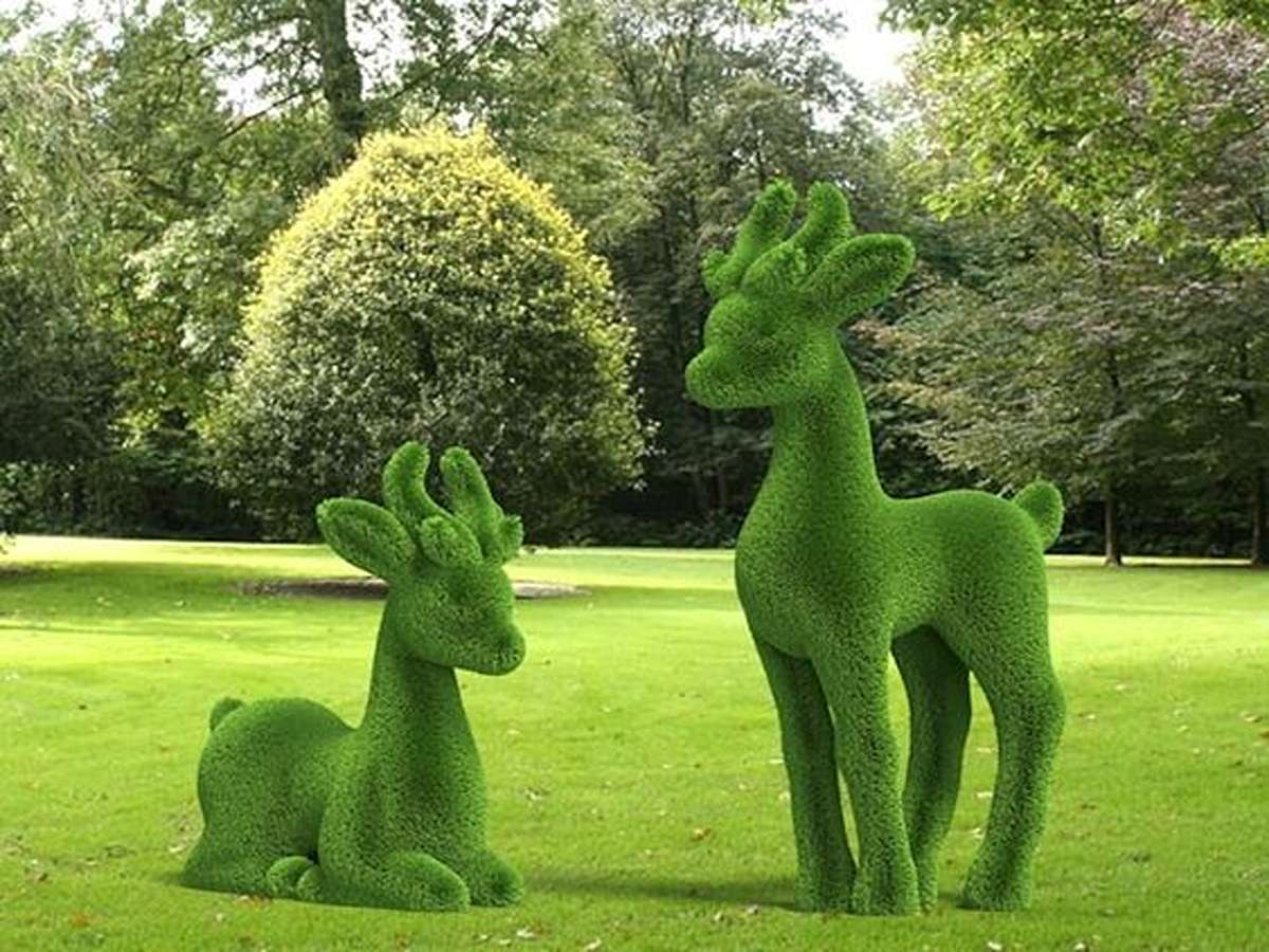 grass-1_4_11zon